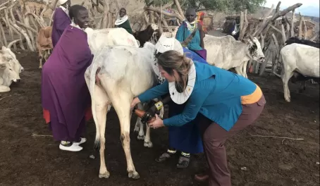 Attempting to milk a cow. I wasn't very successful and the cow didn't like me much.