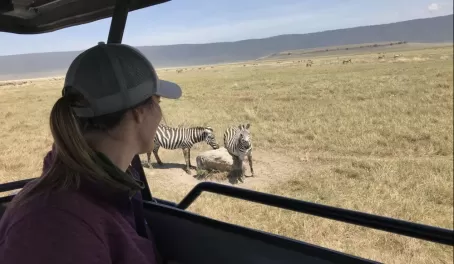 We watched these zebra itch themselves on the rock for a good 10 minutes. I laughed so hard.