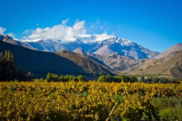 Discover the beauty of the Elqui valley