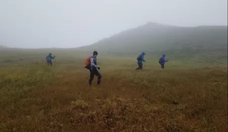Rainy Hiking in Denali