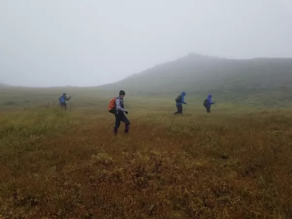Rainy Hiking in Denali
