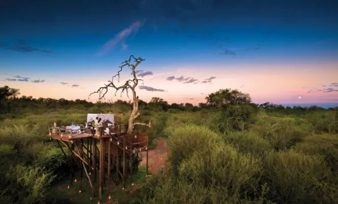 Immerse yourself in the wilds of Greater Kruger in Lion Sands' Tree House