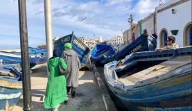 Colors of the port