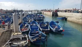Harbour in Essaouira