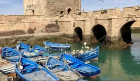 The harbor in Essaouira