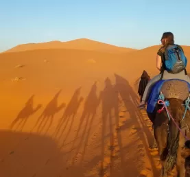 Erg Chebbi