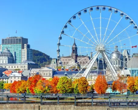 Explore beautiful and historic Montreal