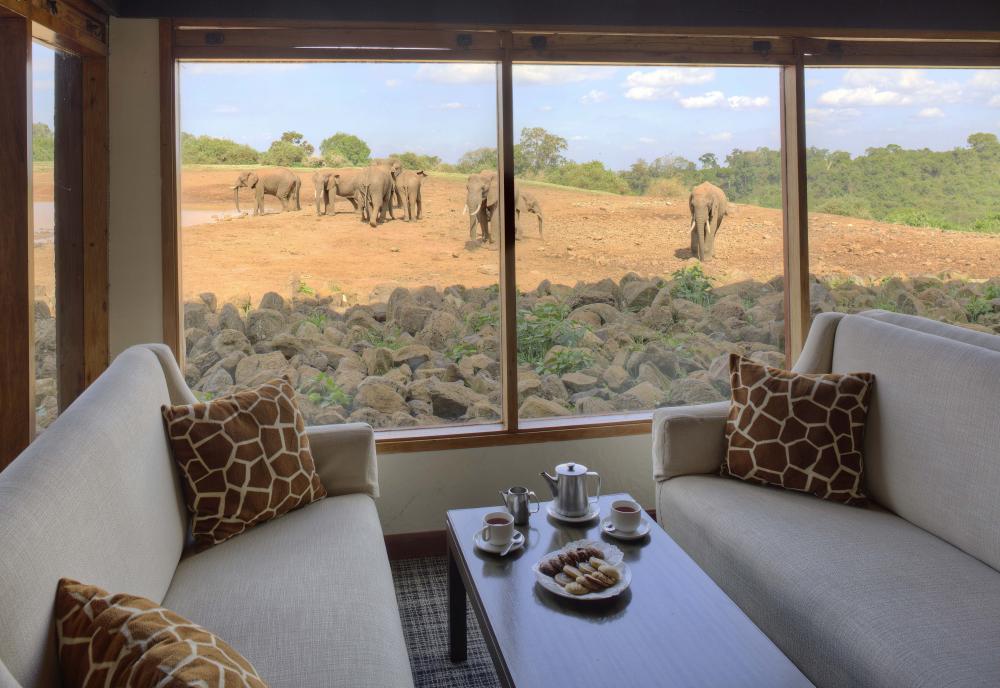 The Ark Lodge Kenyan Safari Lodge