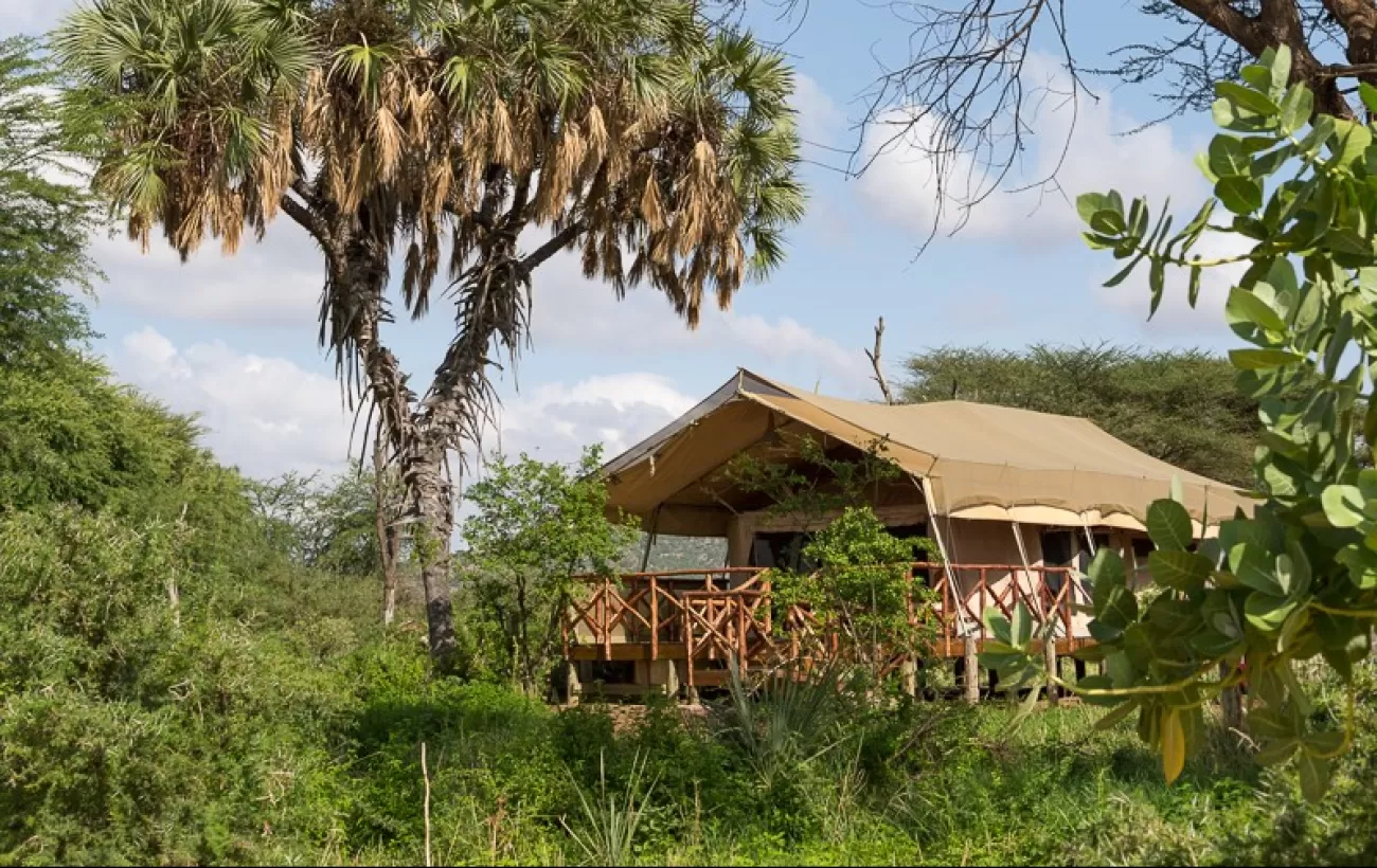 Elephant bedroom outlet camp