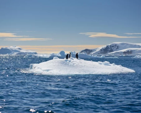Penguins gather on an iceberg