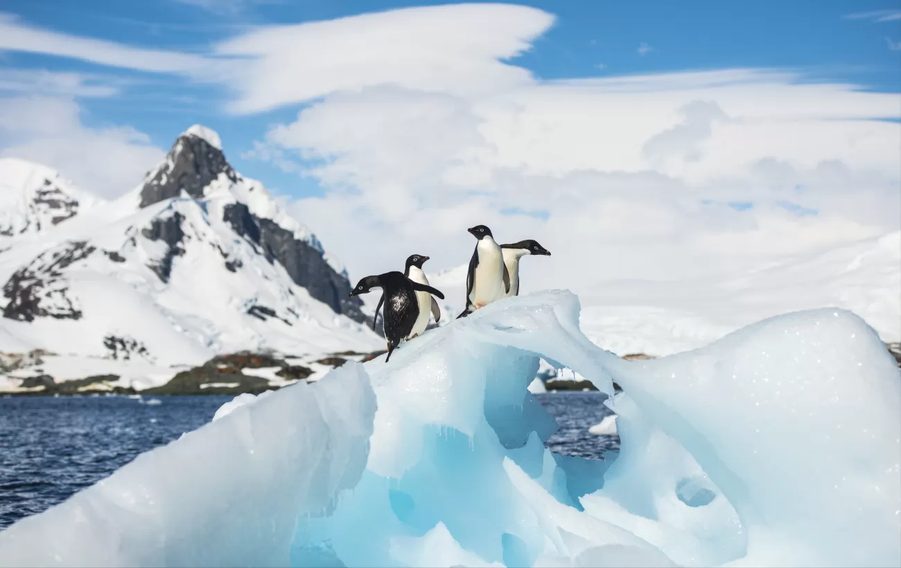 Penguins on an ice formation