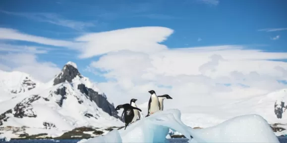 Penguins on an ice formation