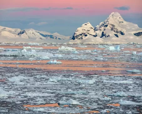 Rosy midnight sun colors over icy seas