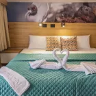 Galapagos Bonita