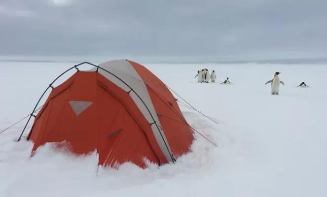 Gould Bay Camp. Courtesy Adam Rheborg, Antarctic Logistics & Expeditions