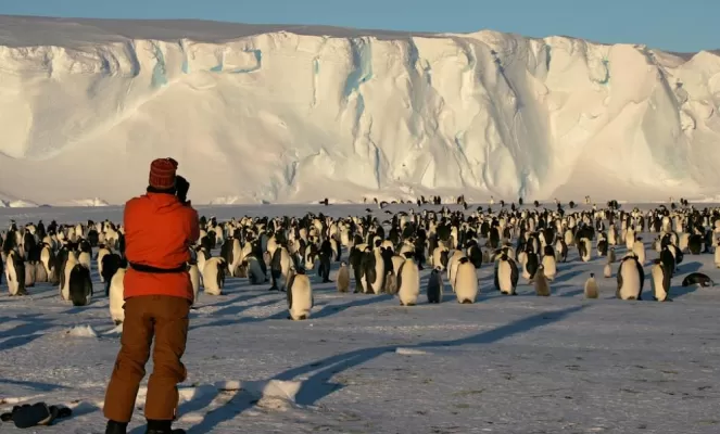 Photographing emperor penguins at Gould Bay Camp. Courtesy Russ Hepburn, Antarctic Logistics & Expeditions