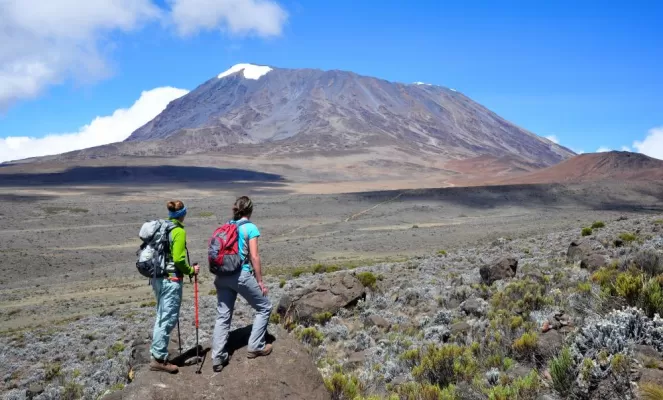 Trekking Kilimanjaro
