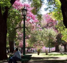 San Martin Square