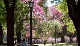 San Martin Square