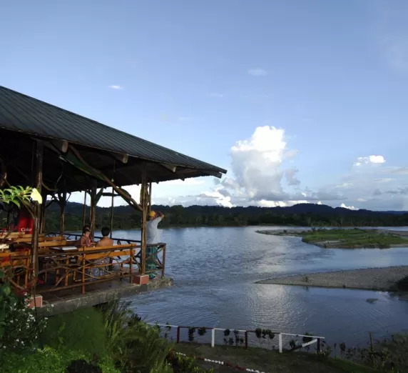 View Amazonian wildlife from the dock at Casa del Suizo