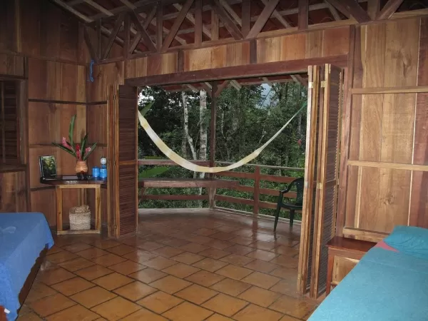 A room with a view at Selva Bananito Lodge!