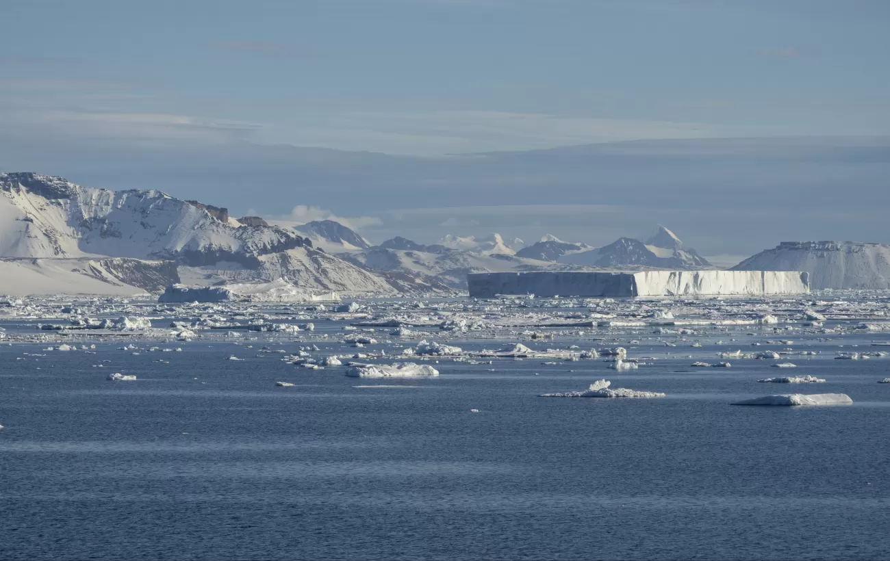 Massive flat-topped tabular icebergs in the Weddell Sea