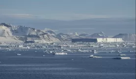 Massive flat-topped tabular icebergs in the Weddell Sea