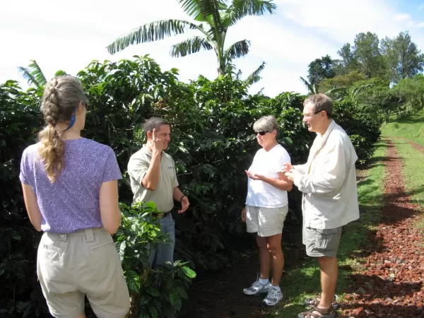 Coffee plantation tour