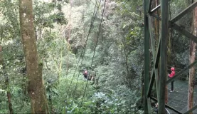 Tarzan swing--Monteverde