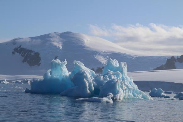 Ice Ice Baby! - Antarctica Traveler Stories