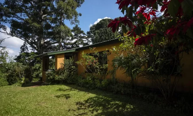 Find yourself immersed in nature at Zomba Forest Lodge