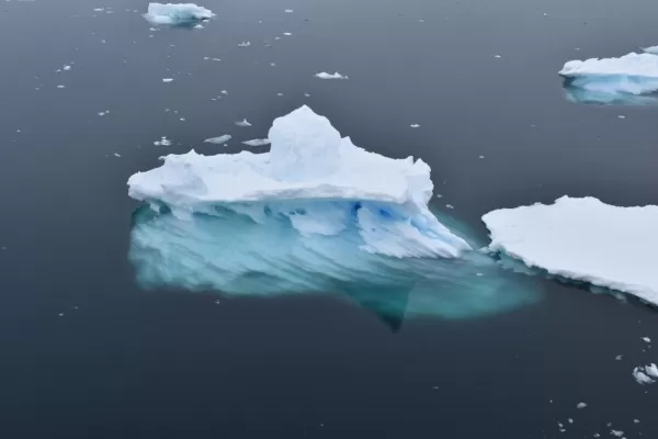 An example of how clear the water is and a representation of how the majority of an iceberg is underwater.