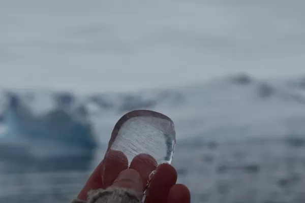 Air bubbles trapped in ice.