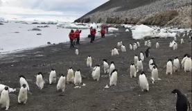 Devils Island landing with hundreds of thousands of Adelie penguins.