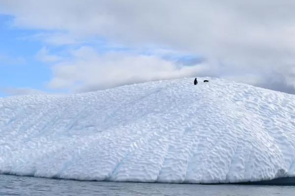 One of several over turned icebergs around Melchior Island.