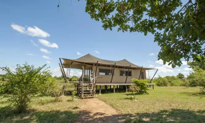 Comfortable yet traditional safari tents at Chikunto