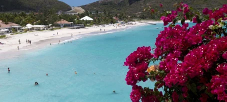 Colorful flowers and bright blue sea in the Caribbean