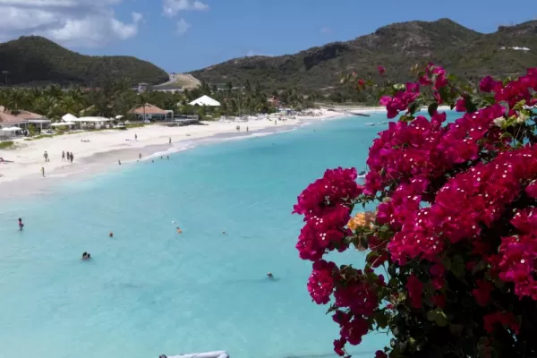 Colorful flowers and bright blue sea in the Caribbean