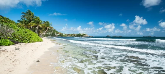 Relax on the beaches of the Caribbean