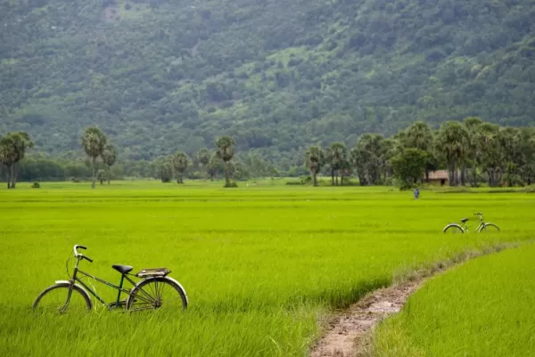 Bike through the lush Vietnamese countryside.