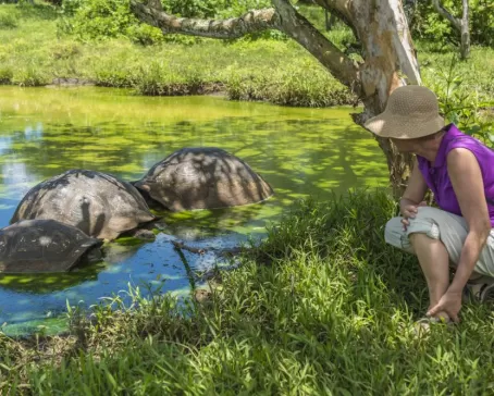 Meeting giant tortoises in the Galapagos