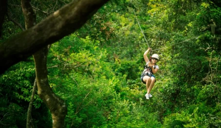 Zipline the rainforest canopy of Costa Rica
