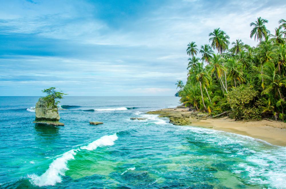 Day Costa Rican Caribbean Tour Beaches Rainforest Adventures