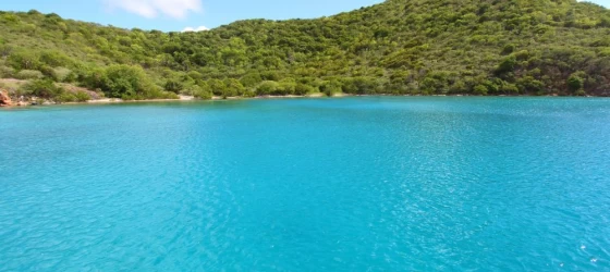 Visit beautiful Norman Island