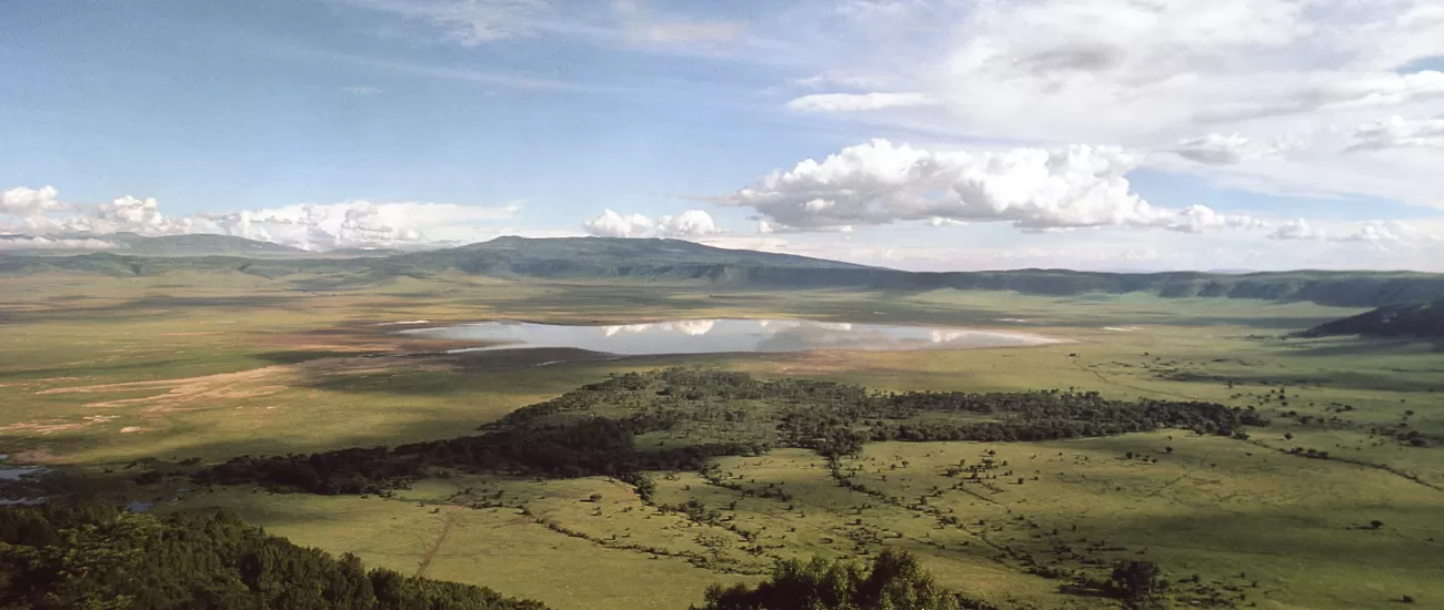 Marvel at the wildlife and landscape of the Ngorongoro Crater