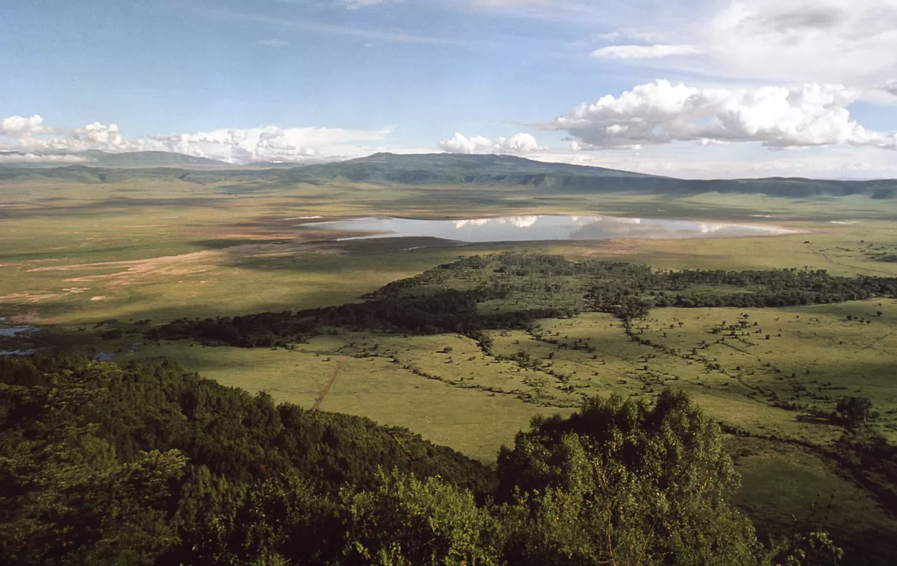 Marvel at the wildlife and landscape of the Ngorongoro Crater