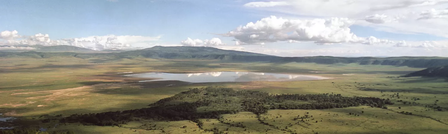 Marvel at the wildlife and landscape of the Ngorongoro Crater