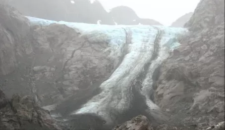 Brown-tongued Nena Glacier