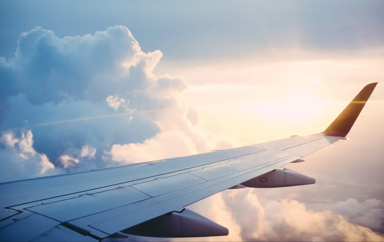 Plane wing