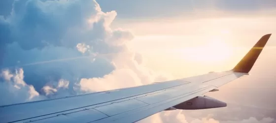 Plane wing